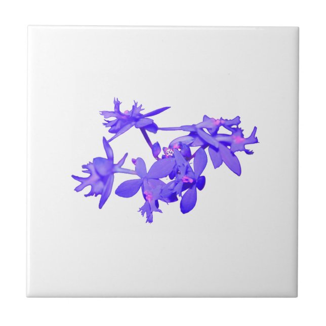 Tonad slipad Orchid för blommor blått Kakelplatta (Framsidan)