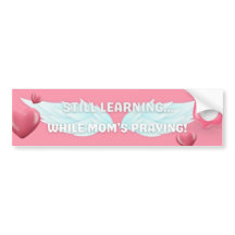 Tonåring förarens förgreningsfack