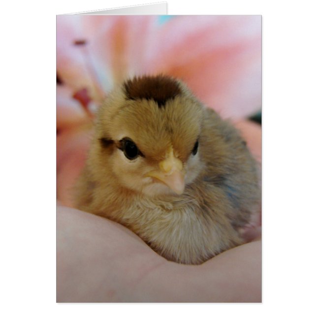 Tonåring i mitt Tillfällen Blank Greeting Card Hälsningskort (Framsidan)