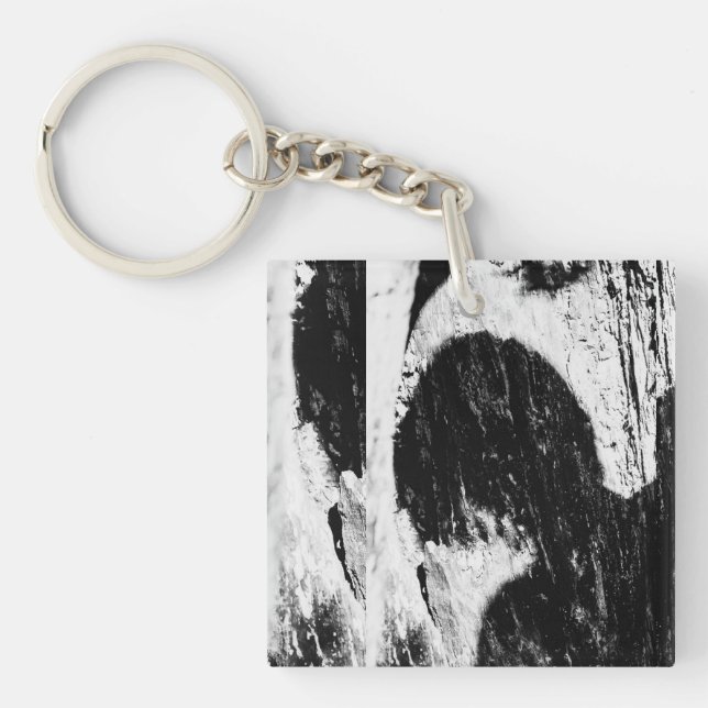 tonåring skugga (Framsidan)