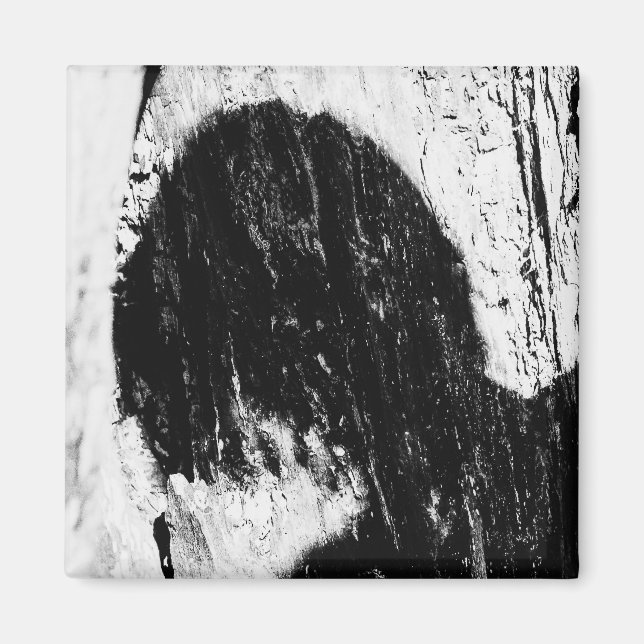 tonåring skugga magnet (Framsidan)