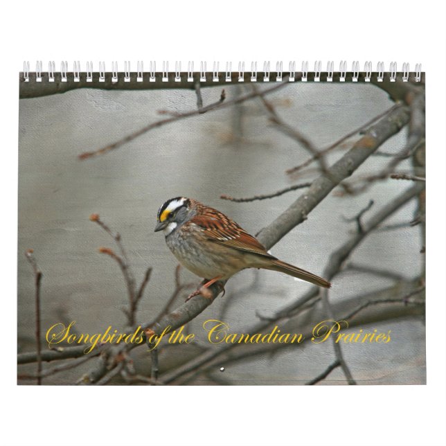 Tonfåglar från de kanadensiska Prairies Kalender (Omslag)