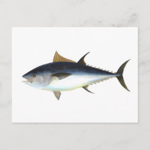 Tonfisk Vykort