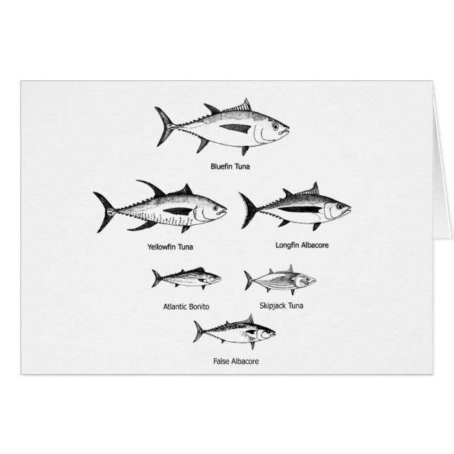 Tonfiskartlogotyp Hälsningskort (Framsidan Horizontal)