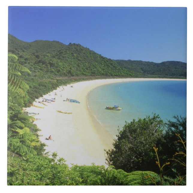Tonga Bay, Abel Tasman NP, Sydön, Nya Kakelplatta (Framsidan)