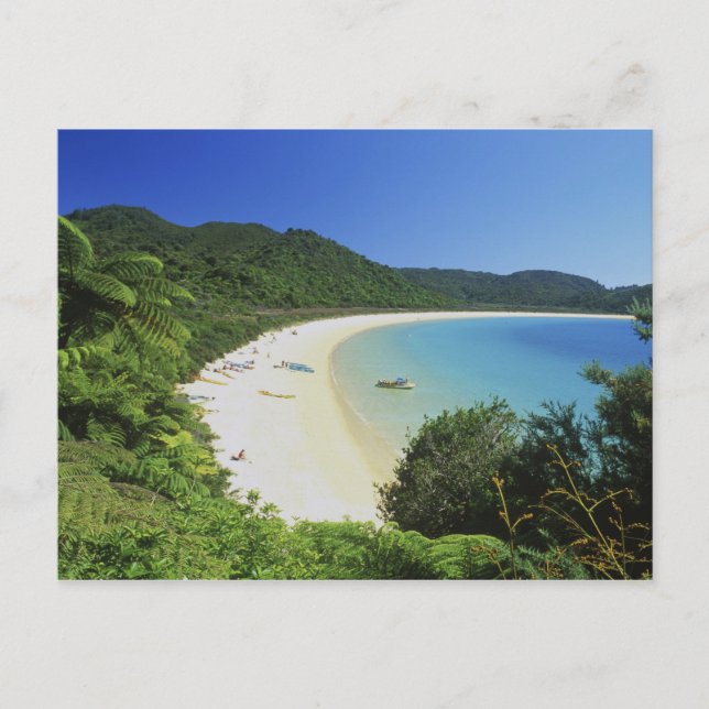 Tonga Bay, Abel Tasman NP, Sydön, Nya Vykort (Framsida)