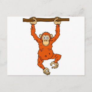 Tongo Chimp Vykort