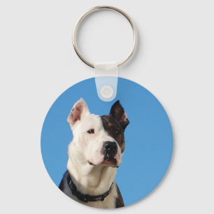 Tonka groptjuren, Keychain Nyckelring