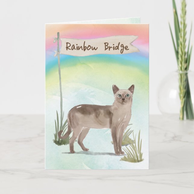 Tonkinese Cat Pet Sympathy over Rainbow Bridge Kort (Framsida)