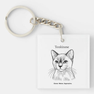 Tonkinese Cat Porträtt