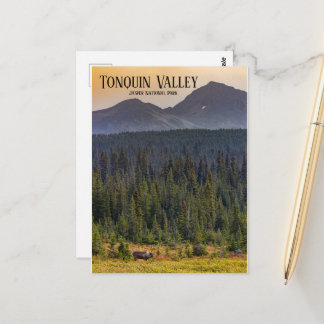 Tonquin Valley, Jasper NP Caribou Postcard Vykort