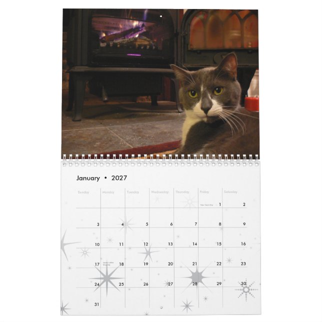 Tonsley & Julie 2010 kalender (Jan 2027)