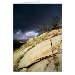 Tonto National Forest, Arizona, Förenade Stater 2 Hälsningskort