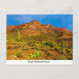 Tonto National Forest Postcard Vykort