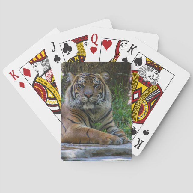 Tony Casinokort (Baksidan)