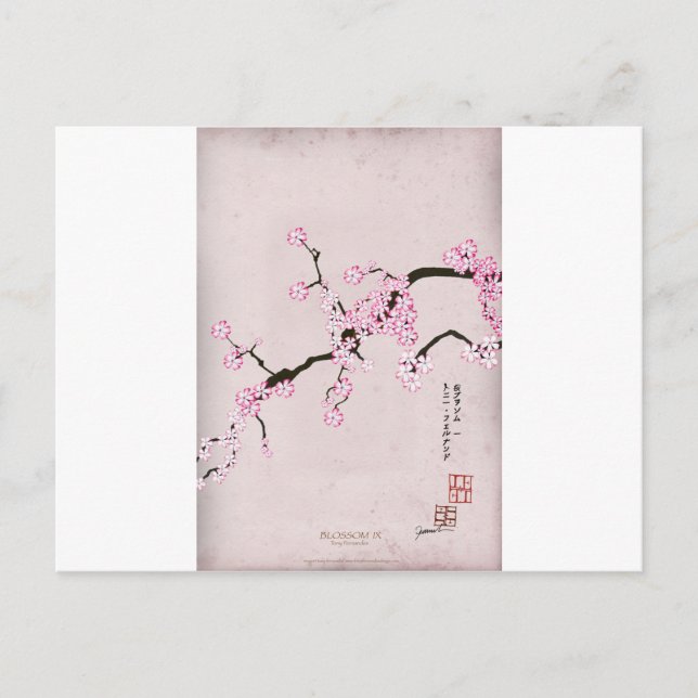 tony fernandes antika blommar 9 vykort (Framsida)