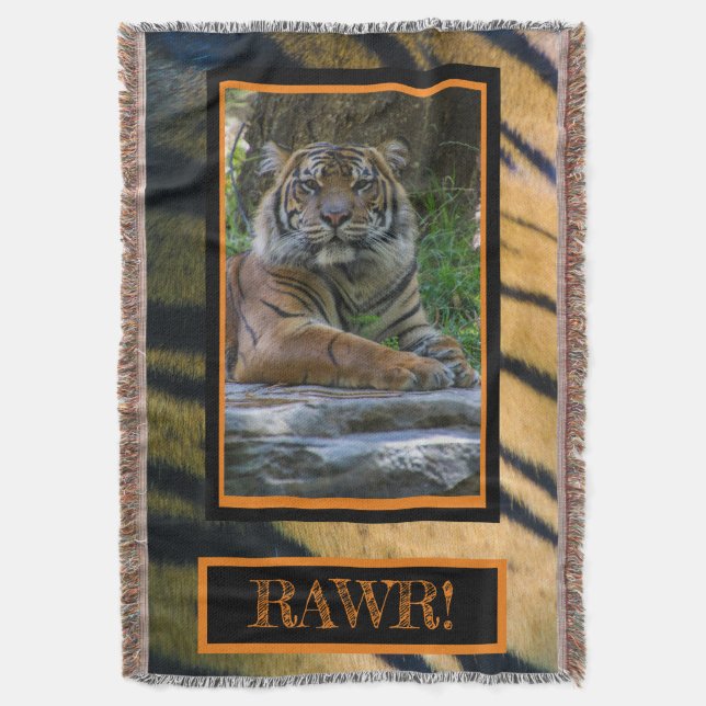 TONY FILT (Framsidan Vertikal)