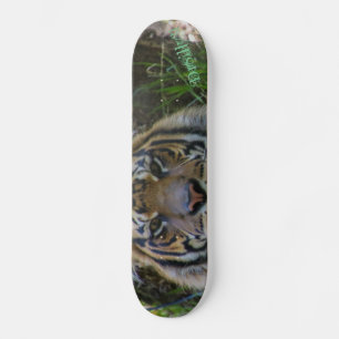 Tony Mini Skateboard Bräda 18,5 Cm