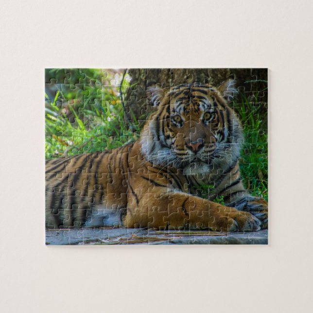 Tony Pussel (Horisontell)