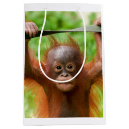 Too Cute to Handle – Little Orangutan