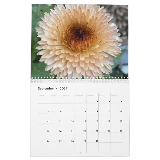 TooleyWoods 2023-kalender Kalender (Sep 2027)