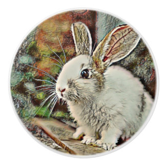 toony bunny knopp