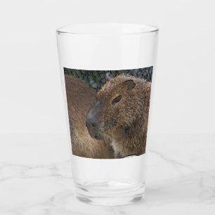 toony Capibarah Glaskopp