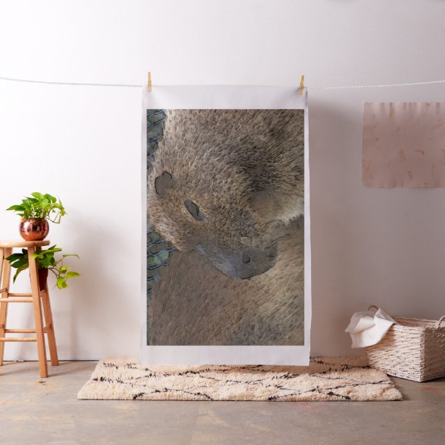 toony Capibarah Tyg (In Situ)
