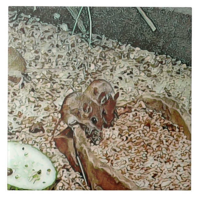 Toony dwarf mice kakelplatta (Framsidan)