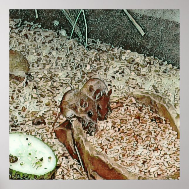 Toony dwarf mice poster (Framsidan)