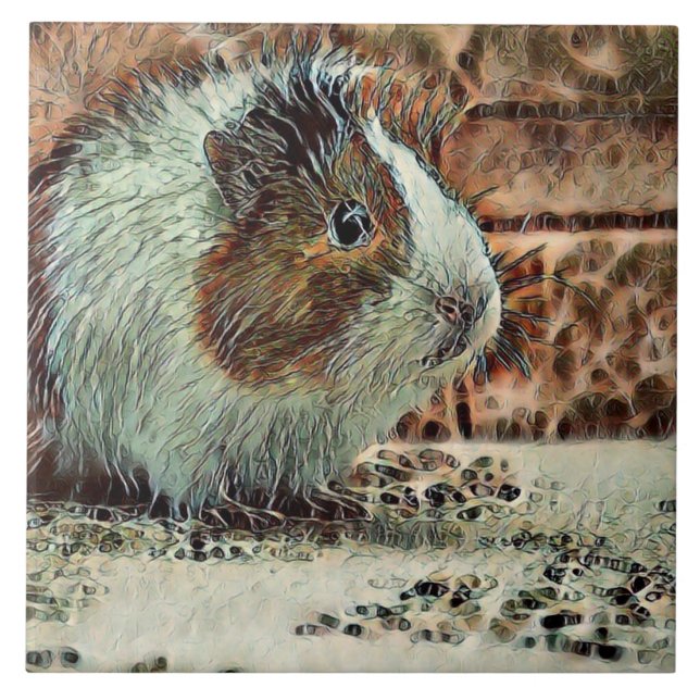 toony guinea gris kakelplatta (Framsidan)