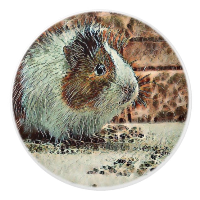 toony guinea gris knopp (Framsidan)