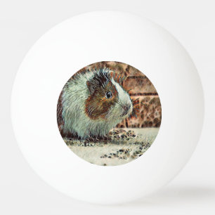 toony guinea gris pingisboll