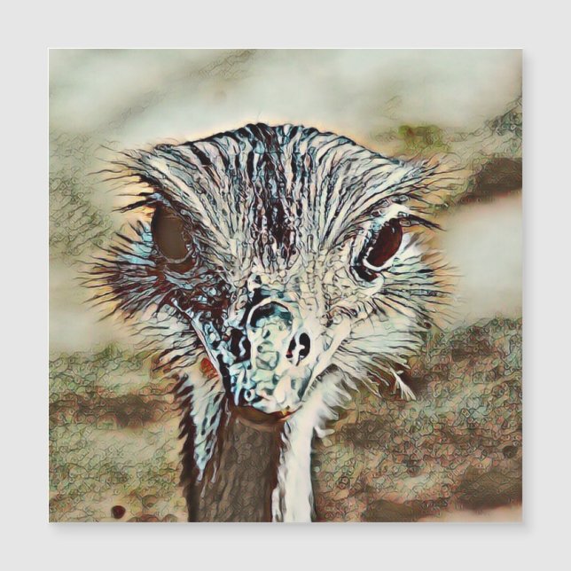 toony ostrich (Framsida)