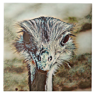 toony ostrich kakelplatta