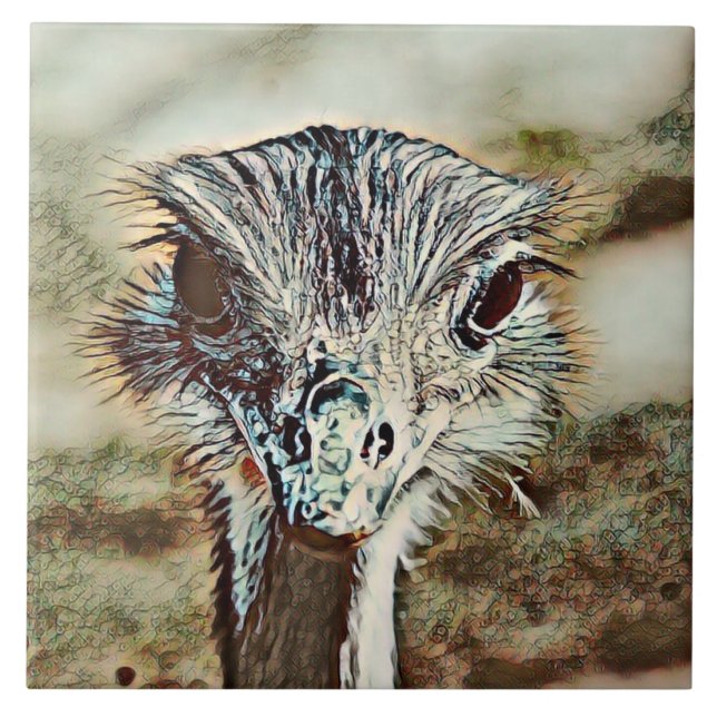 toony ostrich kakelplatta (Framsidan)