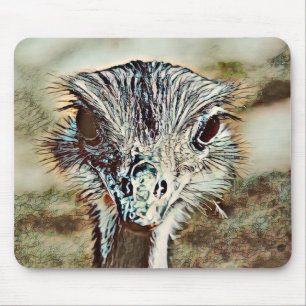 toony ostrich musmatta