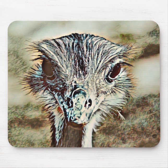 toony ostrich musmatta (Framsidan)