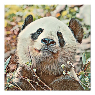 toony panda fototryck