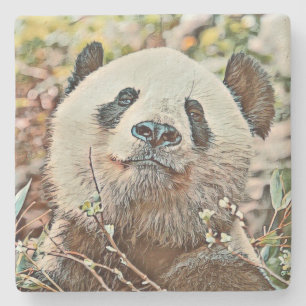 toony panda stenunderlägg