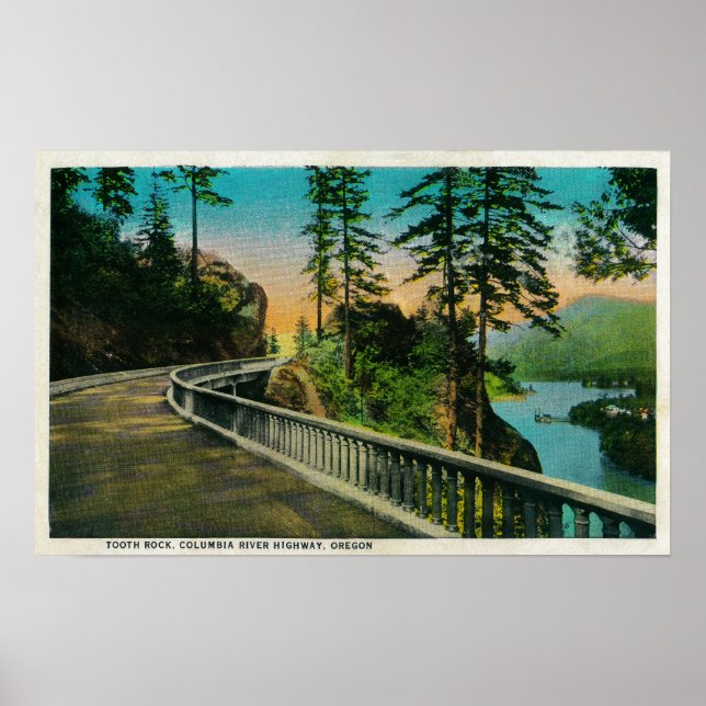 Tooth Sten på Columbia RiverColumbia River, OR Poster (Framsidan)