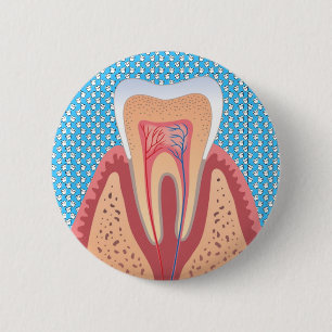 TOOTH STRUKTUR KNAPP