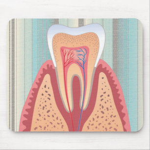 TOOTH STRUKTUR MUSMATTA