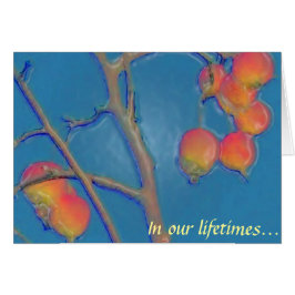 Tooty Frooty OBS Kort