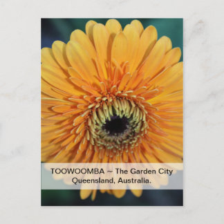 Toowoomba Trädgårdsstaden vykort