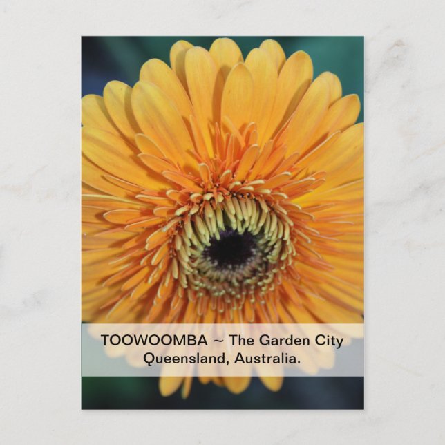 Toowoomba Trädgårdsstaden vykort (Framsida)