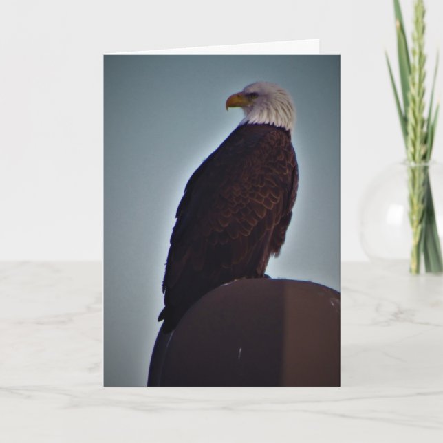 “Top Bird” Sympatikort Kort (Framsida)