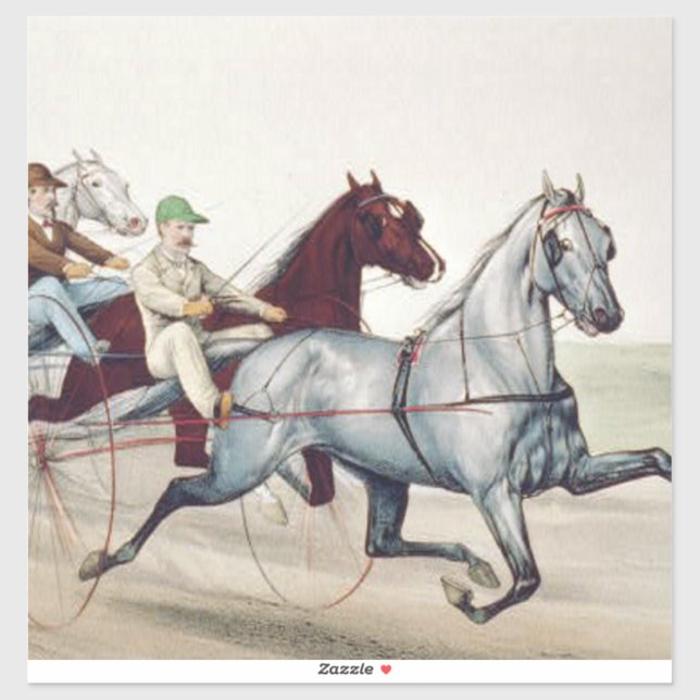 TOP Harness-Tävla Klistermärken (Ark)