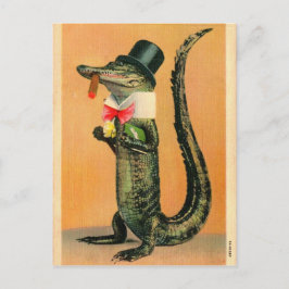 Top hat Gator Vykort