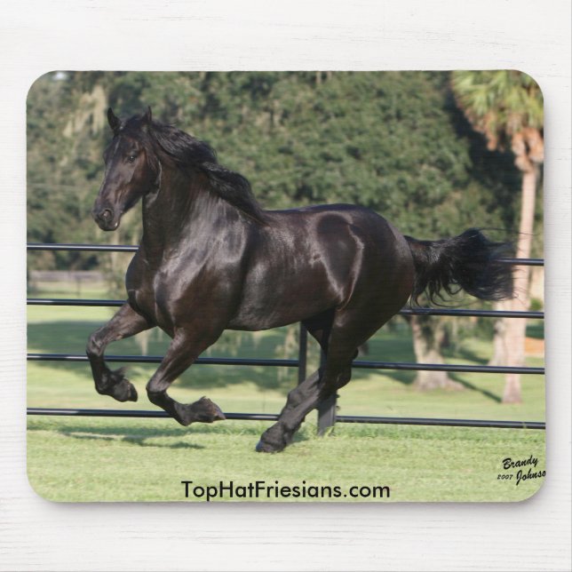 Top hatFriesians Musmatta (Framsidan)